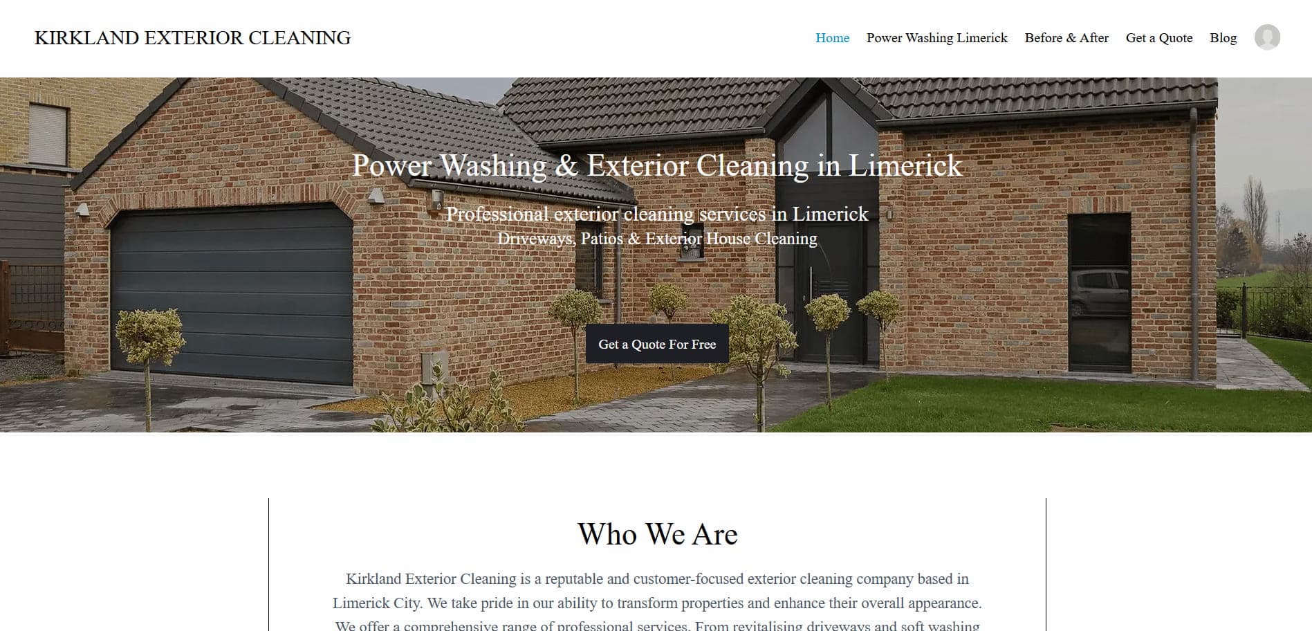 business website limerick ireland homepage